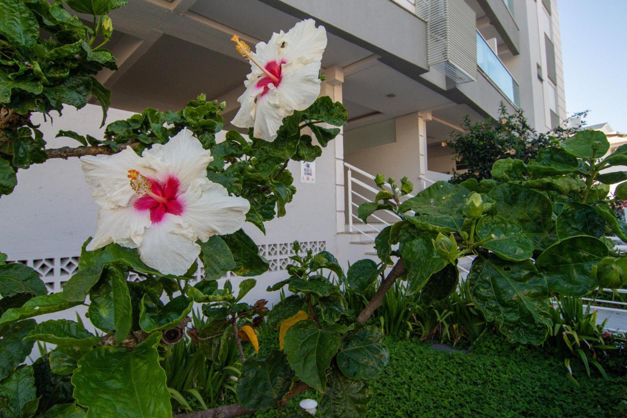 Localizacao Perfeita No Novo Campeche P473 Appartement Florianópolis Buitenkant foto